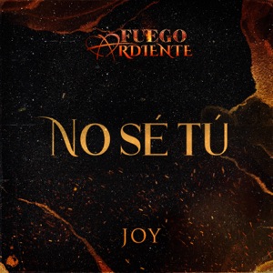 No Sé Tú (De La Telenovela "Fuego Ardiente") - Single