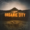 Organic City - Single, 2020