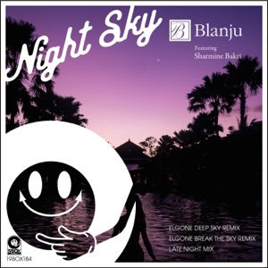 Night Sky (feat. Sharmine Bakri) - Single