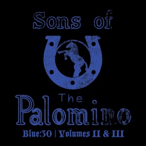 Sons of the Palomino - Honky Tonked Up - Line Dance Music