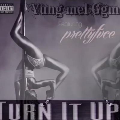 Turn It Up (feat. Pretty Fvce) - Single
