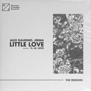 Little Love (feat. Lil' Love) [The Remixes] - EP