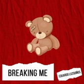 Breaking Me (Hardstyle Remix) artwork