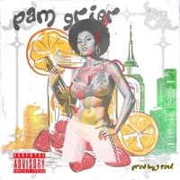 Pam Grier (feat. Rim DaVillin & P.U.R.E.) - Single - Jamil Honesty