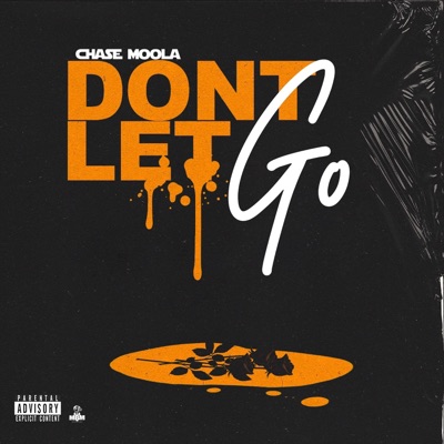 Don't Let Go - Single
