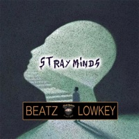 Stray Minds - Single - Beatz Lowkey