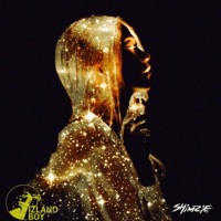 U (feat. Shimzie) - Single - Young Zondi