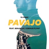 Pavajo (feat. Corvus Flynt & BenjKlay) artwork