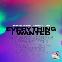 Everything I Wanted — Umur Anil Gokdag TwoRule Liwia