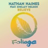 Believe (feat. Shelley Nelson & The Layabouts) [The Layabouts Vocal Mix] cover art
