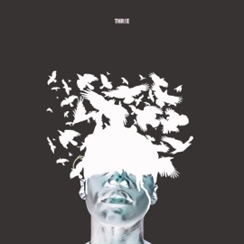 Open Your Mind, Pt. 2 (feat. Artshow & Typhanie & Co) Three