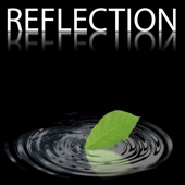 Reflection artwork