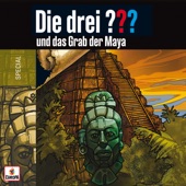 und das Grab der Maya artwork