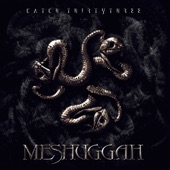 Meshuggah - Shed