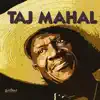 Stream & download Songs For The Young At Heart: Taj Mahal