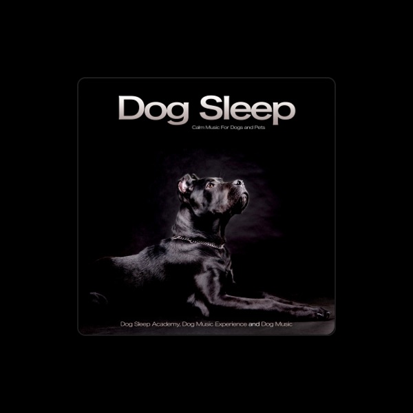 Dog Sleep Academy's avatar
