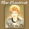 Neşe Karaböcek - Sildim Seni Kalbimden