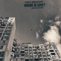 Where Is Love? (feat. Americanhistoryx) - Single - Toncho & Dj Cutahead