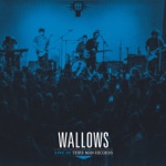 Wallows - Pictures of Girls