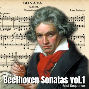 Sonate No. 3 in C Major, Op. 2 No. 3 P2