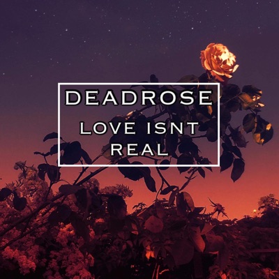 Love Isn't Real - Single