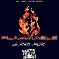 Flammable (feat. Majah) - Single - Lil Spudd
