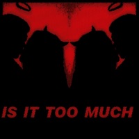 Is It Too Much (feat. Firaag) - Single - Dhruv Sthetick