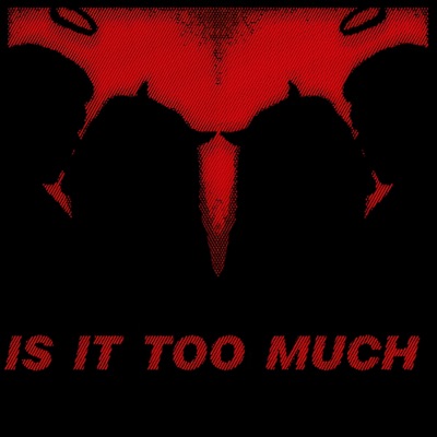 Is It Too Much (feat. Firaag) - Single
