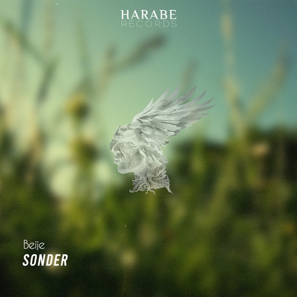 Sonder - Single