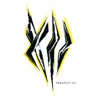 XII - Prospect