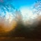 Distant Spring