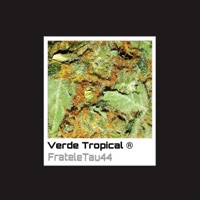 Verde Tropical - Single - FrateleTau44
