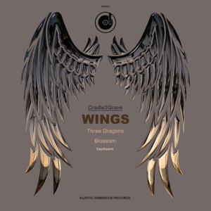 Wings - EP