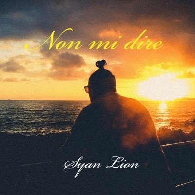 Non mi Dire - Single