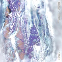 Gläntan-Vinden - EP - Sunniva Brynnel & Ludvig Seashore
