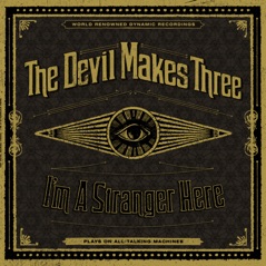 I'm a Stranger Here (Deluxe)