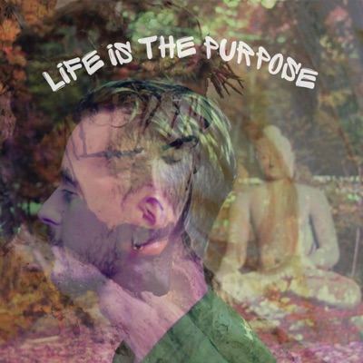 Life Is the Purpose