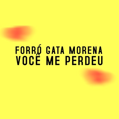 Forró Gata Morena - Você Me Perdeu