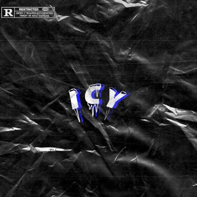 ICY (feat. Zayne & MashWrld) - Single