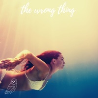 The Wrong Thing (feat. Anthony Lazaro) - Single - Lazer Owl