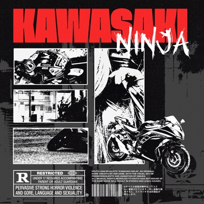 Kawasaki Ninja - Single