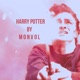 Harry Potter Single