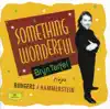 Stream & download Something Wonderful: Bryn Terfel Sings Rodgers & Hammerstein