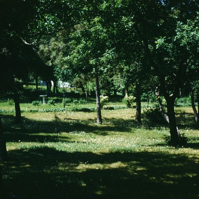 Sonder - Single