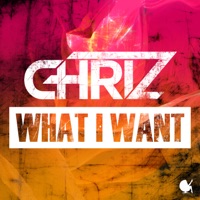What I Want - Single - Chriz