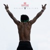 Life Of Mr. Carter by Lil Wayne iTunes Track 2