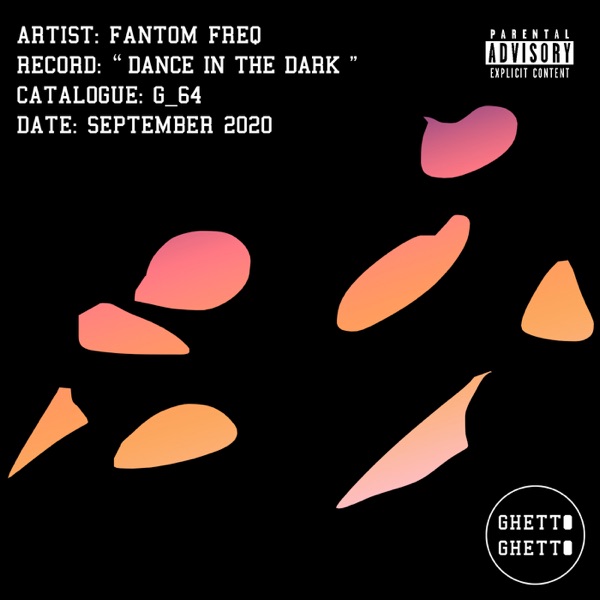 Dance in the Dark - Single