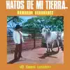 NO TE PERDONARE