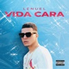 Vida Cara - Single