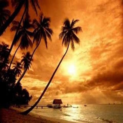 Summer Romance 2 - Single